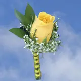 2-bt-rose-yellow-RB-Yellow